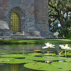 The Tower and lily pads. Links to Tangible Personal Property