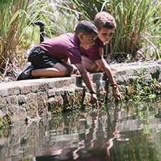 Two boys playing with water. Links to Beneficiary Designations